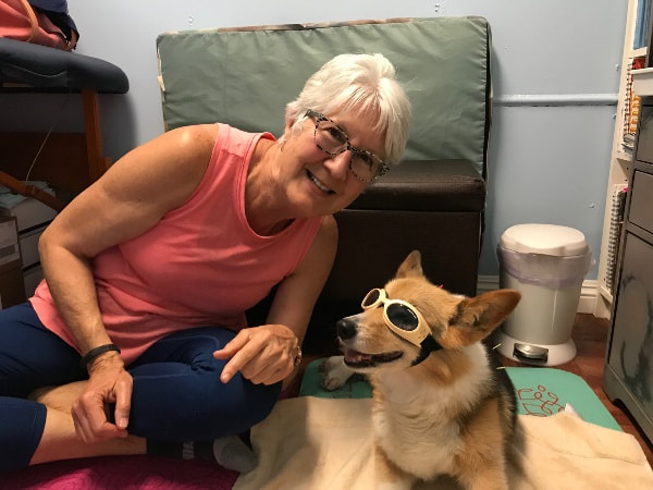 Luna receives acupuncture wearing her Doggles.